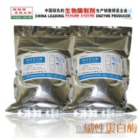 食品級堿性蛋白酶