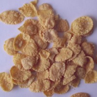 玉米片設備生產線