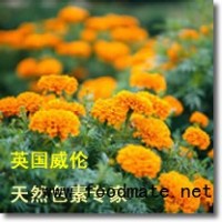 【生產】冷凍米面制品-饅頭天然色素