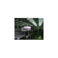 肉香精微波烘干殺菌機