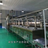 黃金大米設(shè)備 黃金米設(shè)備 黃金米生產(chǎn)設(shè)備