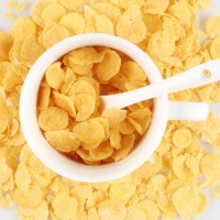 葫蘆島玉米片設備 荷葫蘆島玉米片機器設備