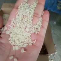 耐蒸煮雙螺桿食品擠壓膨化機