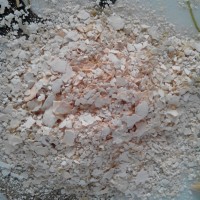 素肉食品設備