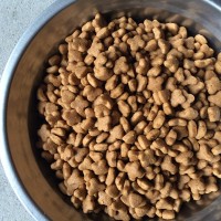 寵物飼料膨化機 狗糧膨化機