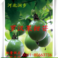 食用羅漢果甜苷品牌  300倍