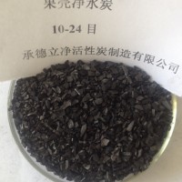 果殼凈水炭