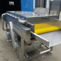 山藥豆清洗機中草藥加工設備生產廠家