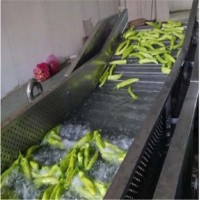 多功能清洗流水線  黃桃全自動氣泡清洗機