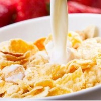 生產(chǎn)早餐谷物玉米片設(shè)備