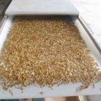 金銀花、菊花微波殺青烘干機