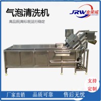 蔬菜多功能氣泡清洗機 多功能清洗機廠家