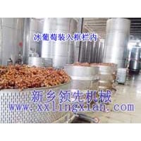 機械專業制造冰葡萄壓榨機（框欄式壓榨機）（垂直式壓榨機）出汁質量高，性能穩定