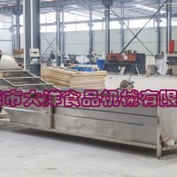 大洋牌廠家直銷仿手工洗菜機 經濟實惠的網帶輸送式氣泡清洗機