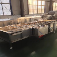 慈姑氣泡翻浪清洗機 菌類清洗機 果蔬清洗機根據產量定做