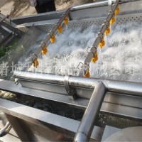 大棗清洗機流水線 紅棗氣泡清洗機 棗子清洗加工設備現貨供應