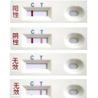 氯霉素快速檢測試紙卡