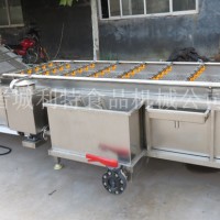 專業生產大棗清洗機  紅棗氣泡清洗機  棗子清洗機價格