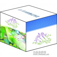 豬鏈球菌抗體檢測試劑盒