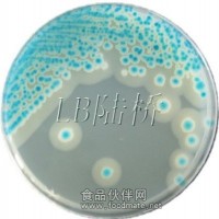 食品微生物顯色培養(yǎng)基
