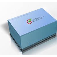 elisa試劑盒，全線七折優惠，elisa試劑盒，購物有禮