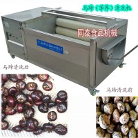 小型家用馬蹄清洗機荸薺蘿卜土豆紅薯三七天麻清洗機器