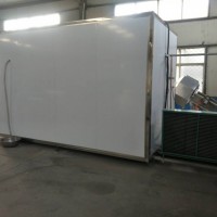鼎誠(chéng)牌魚(yú)翅加工用冷風(fēng)干燥機(jī)