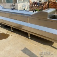 專業加工鹵蛋的流水線設備諸城鼎誠機械