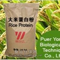 廠家直銷高品質大米蛋白 粉