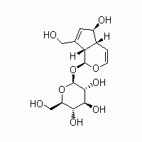 桃葉珊瑚苷 對照品 標準品 HPLC≥98%