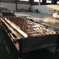 凈菜加工生產線設備香菜高壓水氣泡清洗機菠菜連續式清洗機