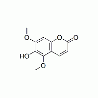 白蠟樹精 對照品 標準品 HPLC≥98%