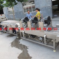 紅棗加工流水線  大棗清洗烘干線  利特大棗加工成套設備