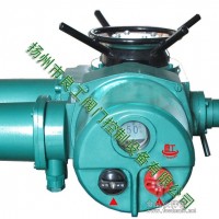 供應(yīng)智能一體化調(diào)節(jié)型電動執(zhí)行機構(gòu)DZT20-36T