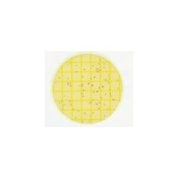 3M 環境李斯特菌測試片
