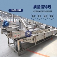 果蔬氣泡清洗機   全自動大姜氣泡清洗機設備