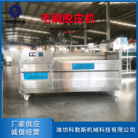 廠家直銷毛刷清洗機 輥刷式土豆清洗機 根莖類果蔬毛輥洗菜機