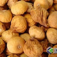 小型無花果烘干機 無花果干燥設備