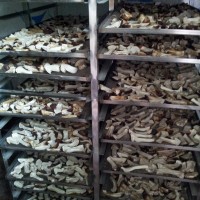 香菇烘干機廠家 包安裝