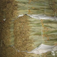 粽葉烘干機 烘干機價格 烘干機廠家 空氣能烘干機