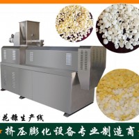 大彤雙螺桿膨化機燕麥酥設備燕麥片設備雪花片生產線