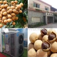 龍眼干燥設(shè)備 龍眼烘干機(jī)