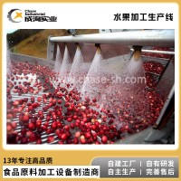 果蔬汁飲料生產線 桃李杏加工生產線 NFC純果汁成套生產線