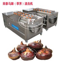 根莖類毛輥果蔬清洗去皮機洗馬蹄荸薺機器