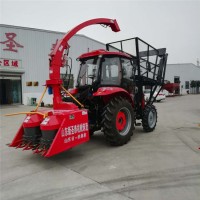 青飼料收割機 苞米桿收集車 蘆葦秸稈粉碎機