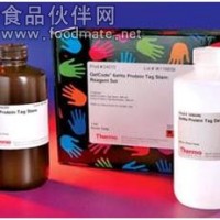 豬氧化低密度脂蛋白ELISA試劑盒廠家