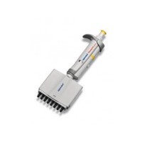 Eppendorf，10–100μl，8道移液器，艾本德