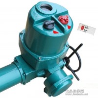 Q30-1W/Z開關型電動裝置