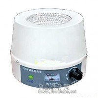 DZTW-100電熱套廠家