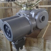 DZW45-24-A00-WK執行器